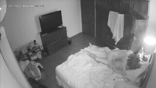Real incest porn sites