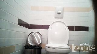 Toilet spy cameras