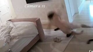  Voyeurism