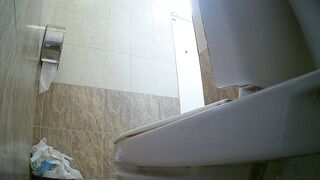 Voyeur WC porn