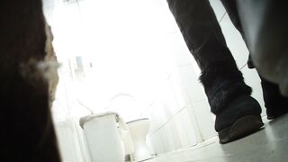 Voyeur toilet sex