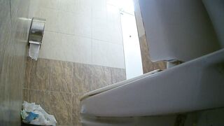 Voyeur toilet videos