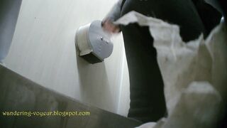 Spy cam for toilet