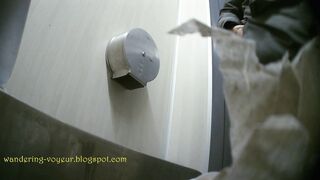 Spy cam for toilet