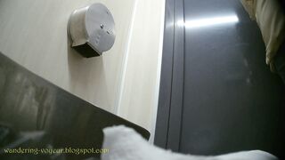 Toilet brush spy cameras