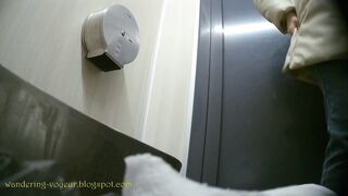 Toilet brush spy cameras