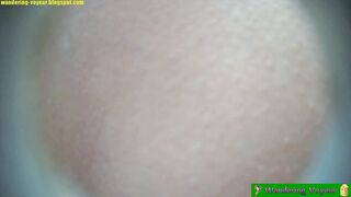 Bbw toilet spy