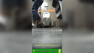 Work toilet spy