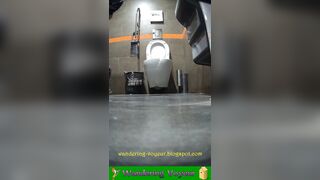 Work toilet spy