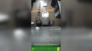 Male toilet spy cam