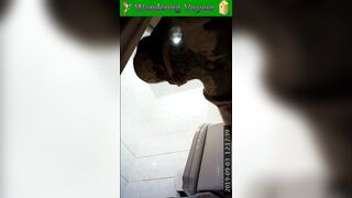 Voyeur tennis toilet