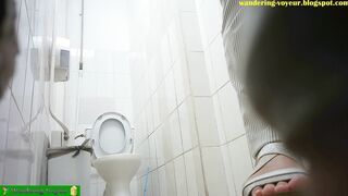 Public WC spy