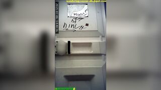 Toilet brush hidden spy camera