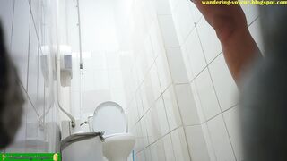 Japan spy cam toilet