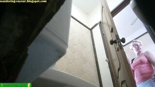 Iran toilet spy
