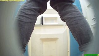  Toilet Voyeur