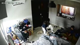 Homemade dog sex videos