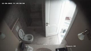 Horses pissing porn