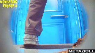 Beach Bio Toilet-8K
