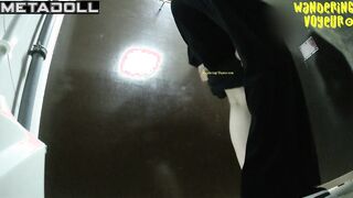  Toilet Voyeur