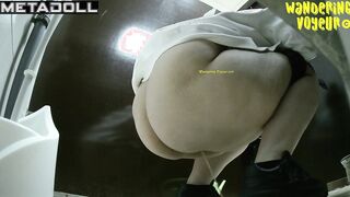  Toilet Voyeur