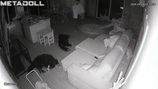 Amazing Australian couple have an intimate sex hidden IP cam