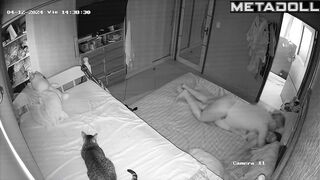 Amateur couple having sex in a hotel on vacation live