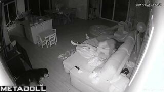 Young married couple fucks on their couch