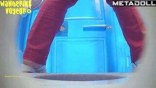 Beach Bio toilet-241