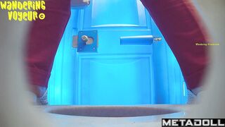 Beach Bio toilet-241
