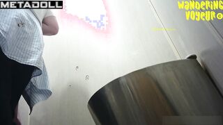 Public Toilet-249