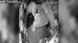 Amazing mature couple fuck brutally spy cam record