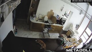 New couple fuck wildly in their bed