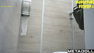 Wandering Voyeur - Mall Toilet-447