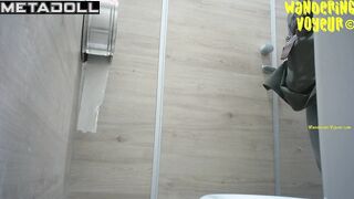 Wandering Voyeur - Mall Toilet-447