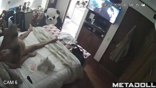 Hot Latin busty girl rides her boyfriend