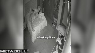 My neighbours have an anal sex live stream