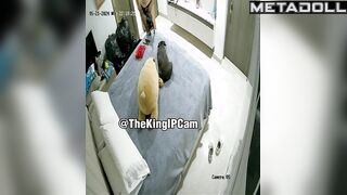 Amateur Romanian brunette woman changes her dirty panties at home