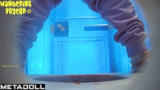 Wandering Voyeur - Beach Bio toilet-275