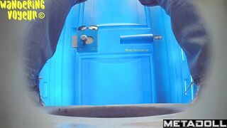 Wandering Voyeur - Beach Bio toilet-276