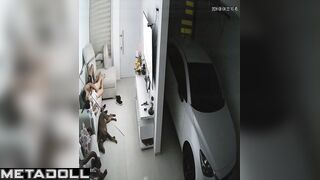 Real married couple have a doggystyle sex recording