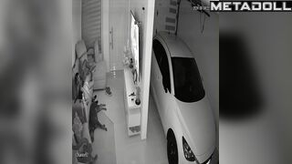 Real married couple have a doggystyle sex recording