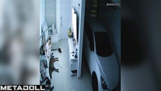 Real married couple have a doggystyle sex recording