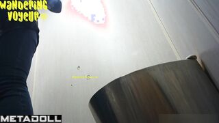 Wandering Voyeur - ﻿Public Toilet-251