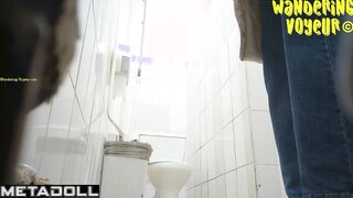 Wandering Voyeur - Shopping centre WC-212K (Shit)