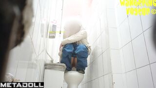 Wandering Voyeur - Shopping centre WC-212K (Shit)