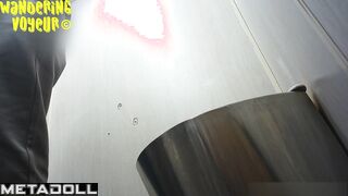 Wandering Voyeur - Public Toilet-252
