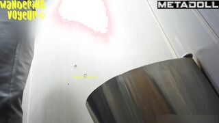 Wandering Voyeur - Public Toilet-252