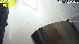 Wandering Voyeur - Public Toilet-254