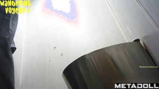 Wandering Voyeur - Public Toilet-254